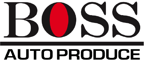 BOSS AUTO PRODUCE