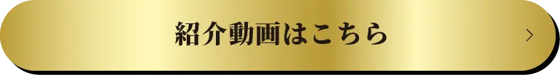 紹介動画はこちら